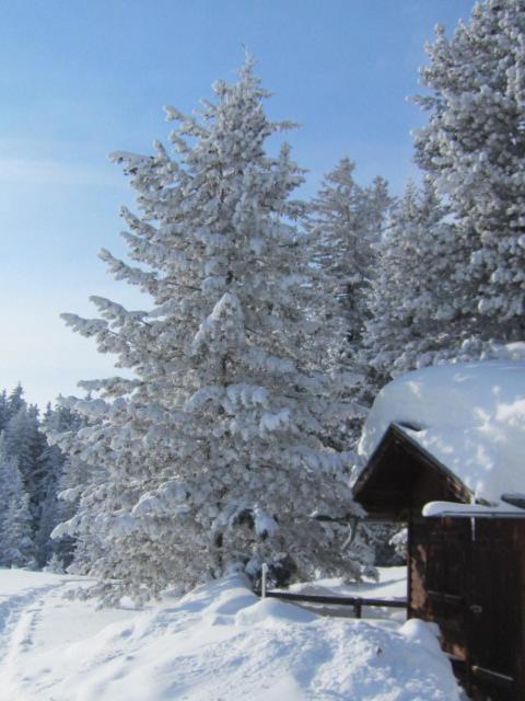 Wirtshaus Zum Wiesejaggl Kaunerberg Buitenkant foto